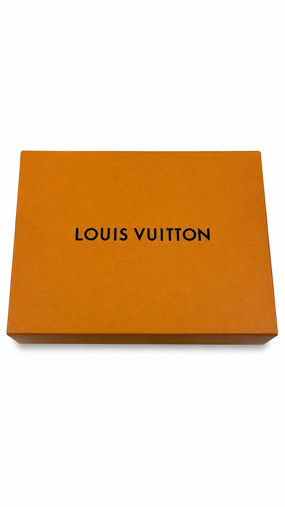 Sneaker Louis Vuitton Skate marine - vue 5/5